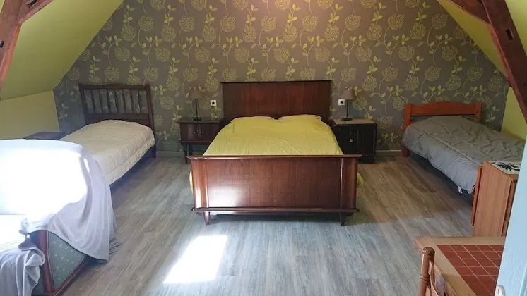 Family Oda (Orchidée)