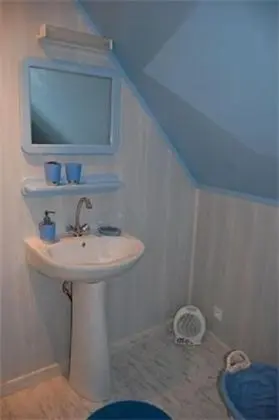 Family Oda (Orchidée)