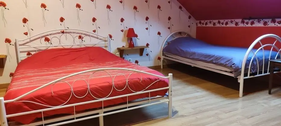 Romantic Tek Büyük Yataklı Oda (Coquelicot)