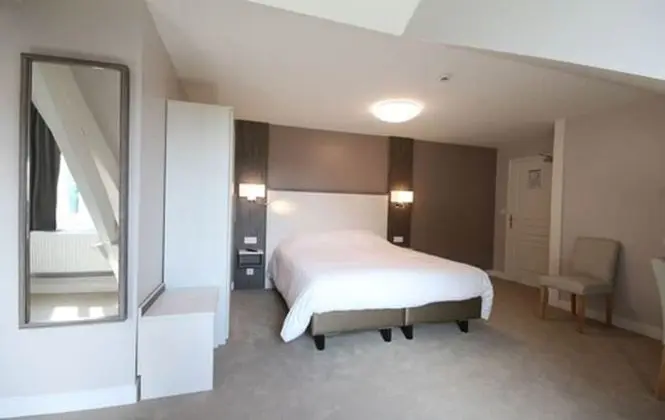 Superior Tek Büyük Yataklı Oda