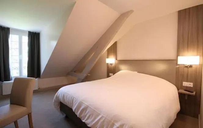 Superior Tek Büyük Yataklı Oda