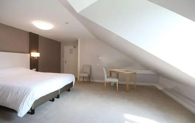 Superior Tek Büyük Yataklı Oda