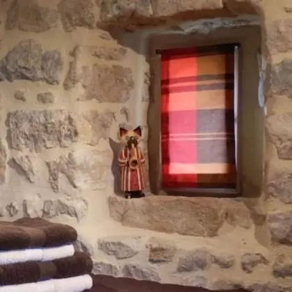 Süit