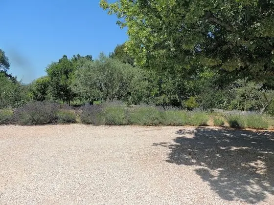 Deluxe Tek Büyük Yataklı Oda, Özel Banyo, Bahçe Manzaralı ( Orange)