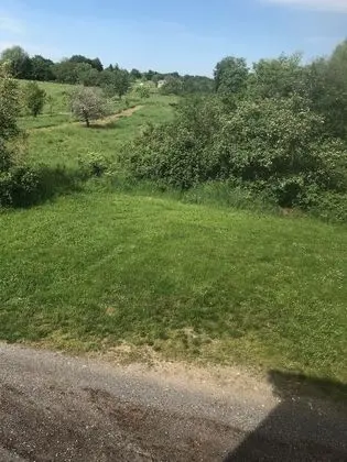 Süit