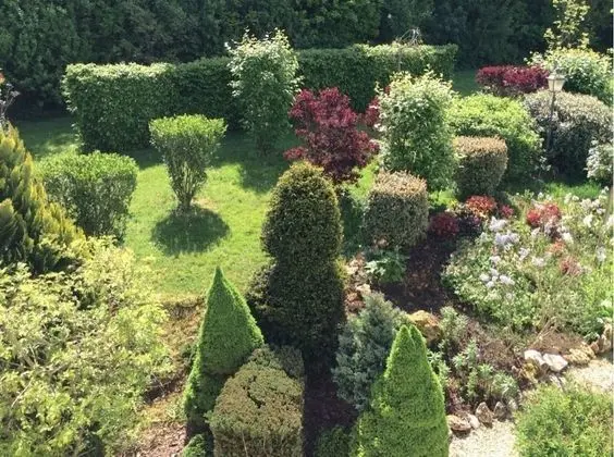 Tek Büyük Yataklı Oda, Bahçe Manzaralı