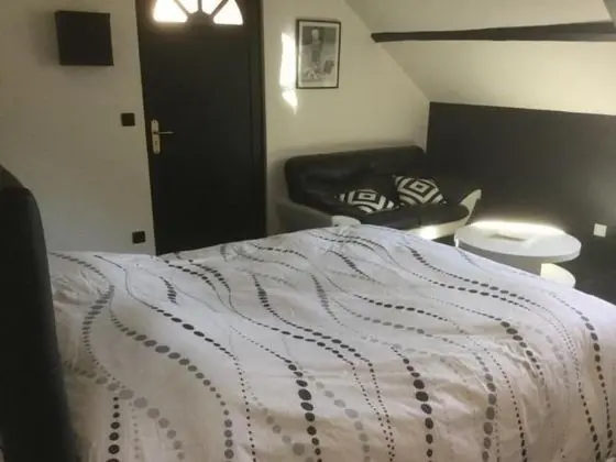 Tek Büyük Yataklı Oda (La Pygargue)