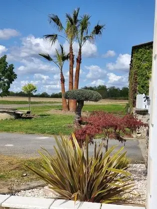 Elite Tek Büyük Yataklı Oda