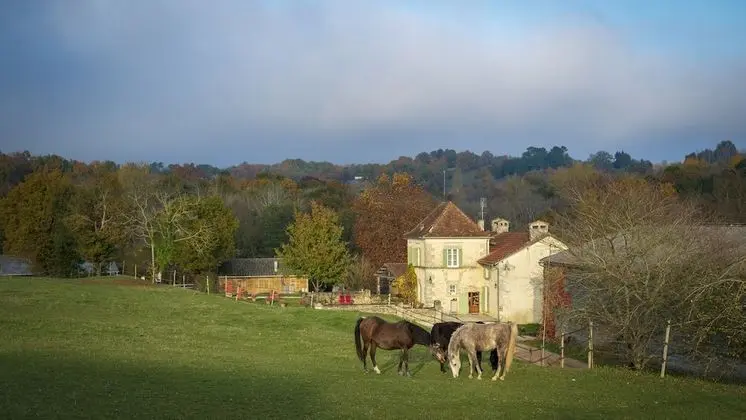 Honeymoon Oda, 1 En Büyük (King) Boy Yatak, Özel Banyo, Avlu Manzaralı