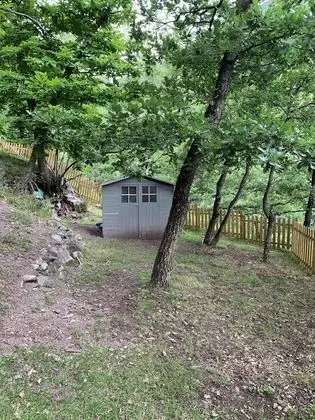 Kulübe, Dağ Manzaralı (Perché dans les Arbres )