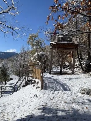 Kulübe, Dağ Manzaralı (Perché dans les Arbres )
