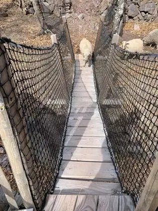 Superior Kulübe, Dağ Manzaralı