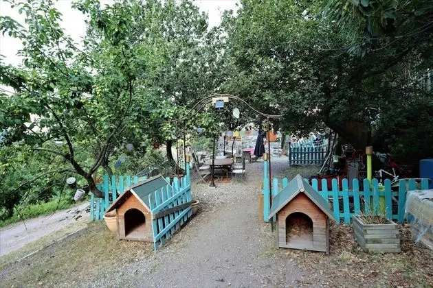 Traditional Tek Büyük Yataklı Oda, Özel Banyo, Dağ Manzaralı