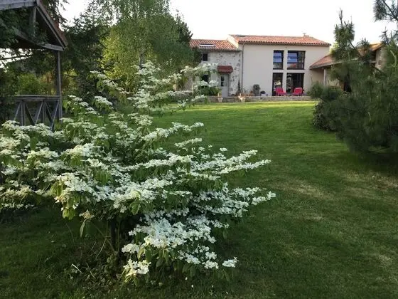 Tek Büyük Yataklı Oda, Bahçe Manzaralı