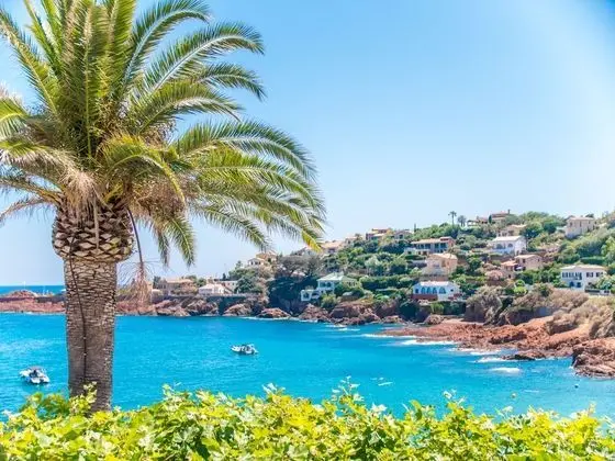 Deluxe Tek Büyük veya İki Ayrı Yataklı Oda, Deniz Manzaralı