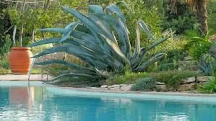 Exclusive Tek Büyük Yataklı Oda, Havuz Manzaralı