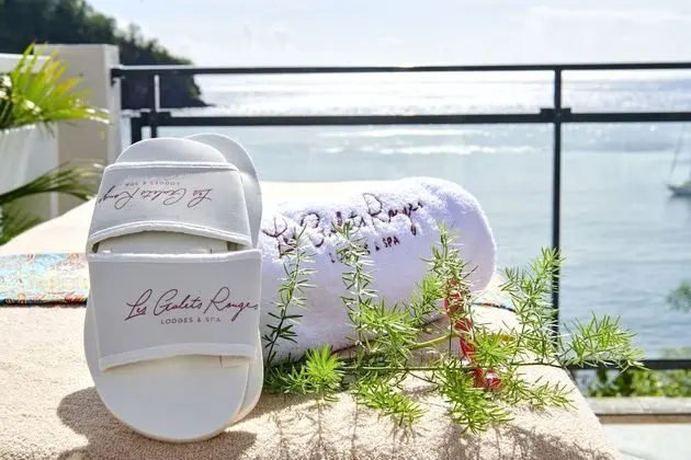 Chambre Deluxe Double ou avec lits jumeaux, 2 lits une place, vue mer, petit bassin privé, terrasse