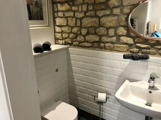 Comfort Tek Büyük Yataklı Oda, Banyolu/Duşlu, Bahçe Manzaralı (Geais)