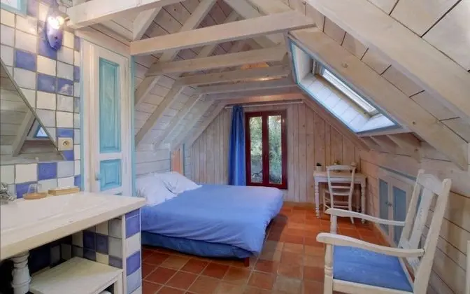 Comfort Oda (Campanule)