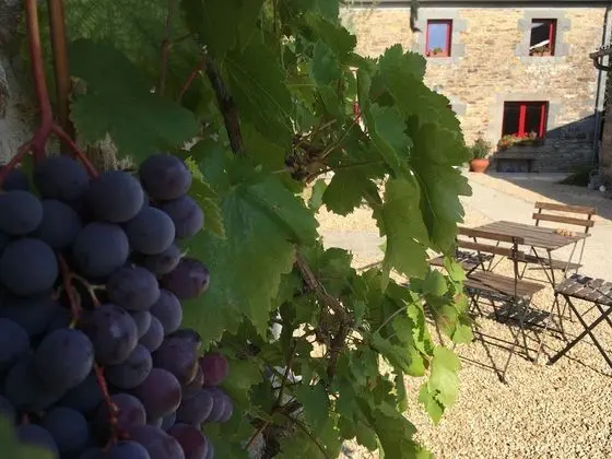 Kır Evi, 2 Yatak Odası