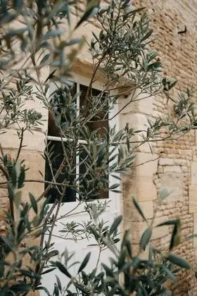 Traditional Süit, Banyolu/Duşlu, Bahçe Manzaralı