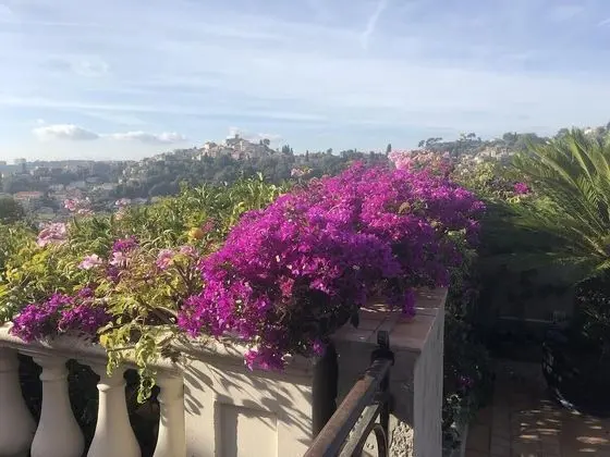 Panoramic Tek Büyük Yataklı Oda (Castle view)