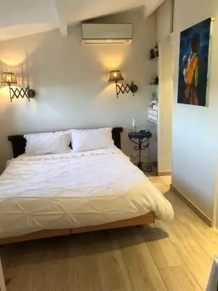 Tek Büyük Yataklı Oda (Palmiers)