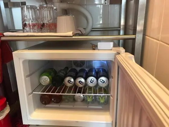 Tek Büyük Yataklı Oda (Palmiers)