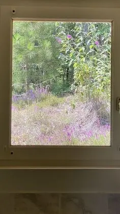 Kır Evi, Banyolu/Duşlu (Jade)