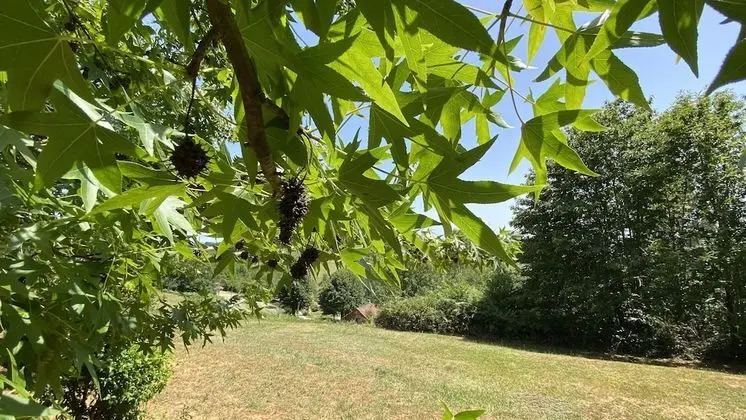 Kır Evi, Banyolu/Duşlu (Jade)