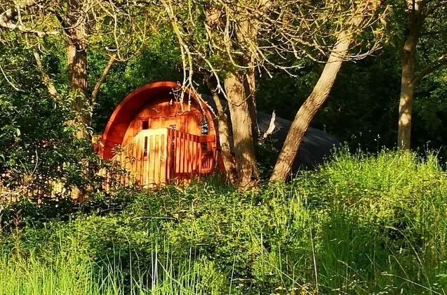 Comfort Kulübe, Bahçe Manzaralı (Tonneau)