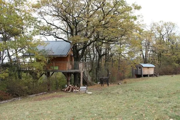Ağaç Ev, Özel Banyo, Dağ Manzaralı (La Cabane des Cerfs )