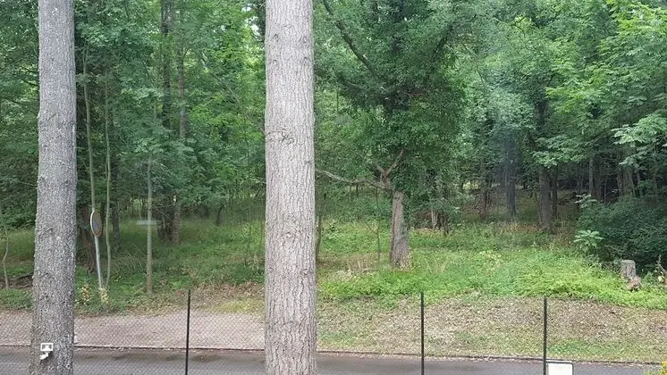 Tek Büyük Yataklı Oda (Cloé)