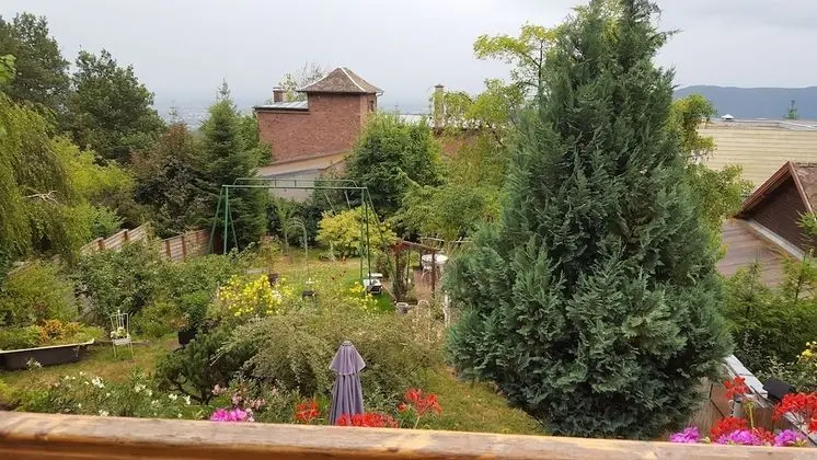 Tek Büyük Yataklı Oda (Lilirose)