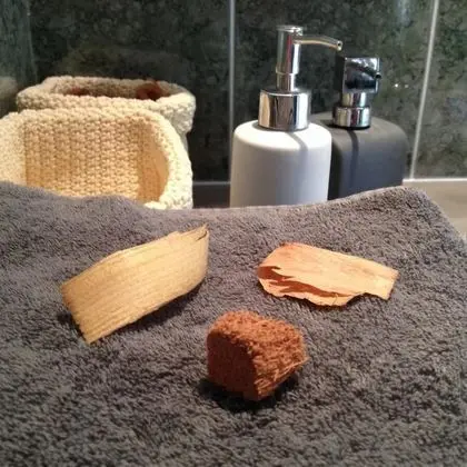 Family Oda (Cépages)