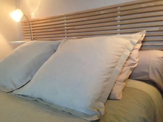 Family Oda (Potager)