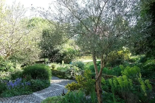 Süit, 1 Büyük (Queen) Boy Yatak