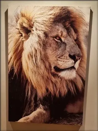 Oda, 1 Çift Kişilik Yatak