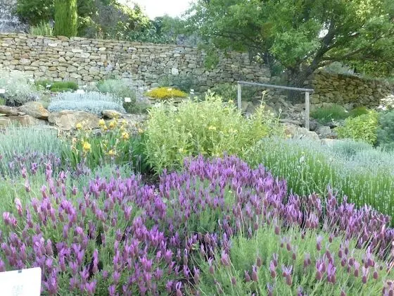 Deluxe Tek Büyük Yataklı Oda, Banyolu/Duşlu, Bahçe Manzaralı (Chambre Havane)