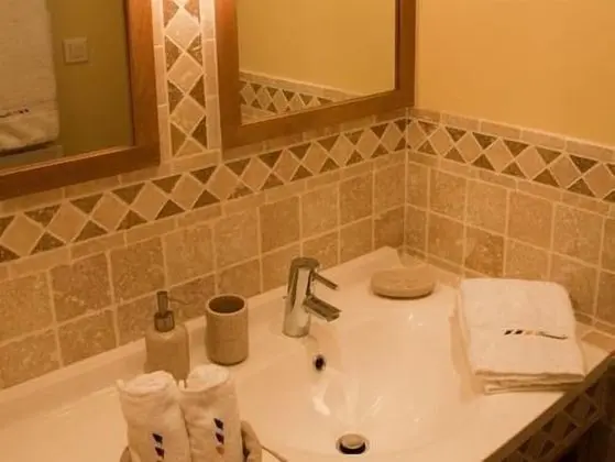 Comfort Tek Büyük Yataklı Oda, Banyolu/Duşlu, Bahçe Manzaralı