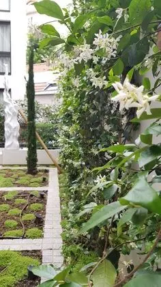 Comfort Tek Büyük Yataklı Oda, Havuz Kullanımı
