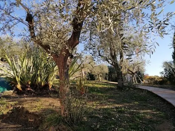 Panoramic Stüdyo, Tepe Manzaralı