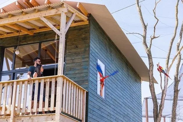 Superior Dört Kişilik Oda
