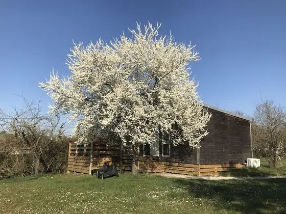 Bungalov, Banyolu/Duşlu (Les Lodges)