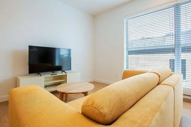 Çatı Katı (Loft)