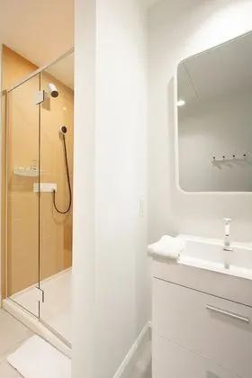 Çatı Katı (Loft)