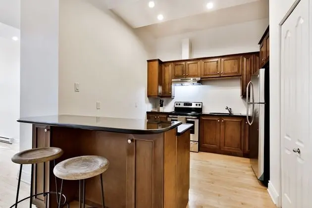 Deluxe Apart Daire, 1 Yatak Odası, Sigara İçilmez, Şehir Manzaralı