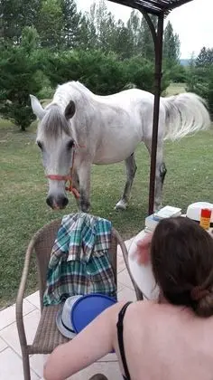 Kır Evi, Özel Banyo (L'Alouette)