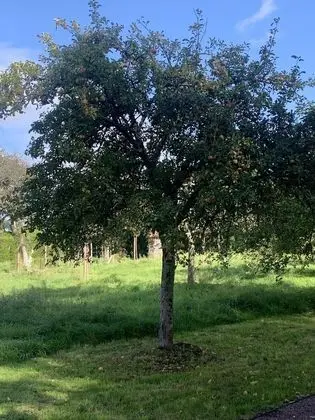 Superior Süit, Sigara İçilmez