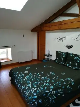 Tek Büyük Yataklı Oda (La Trézence)